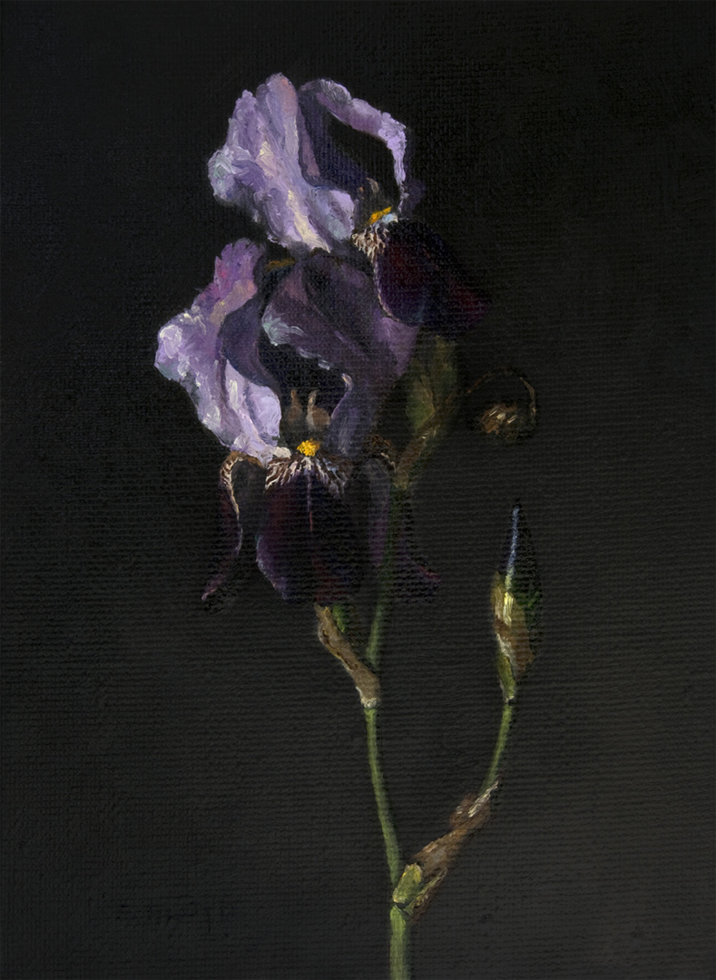 12 x 9 inches - oil on linen