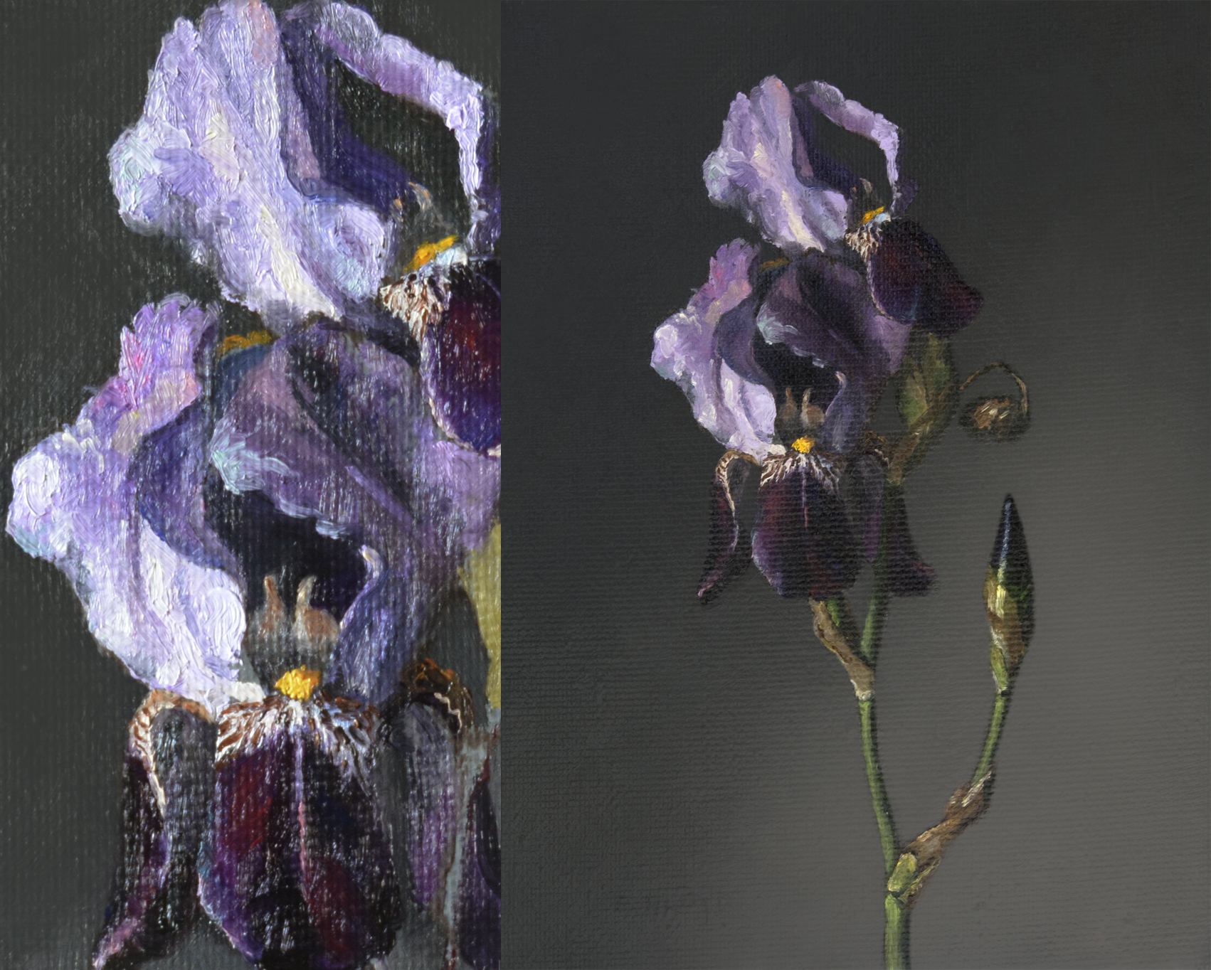 12 x 9 inches, oil on linen