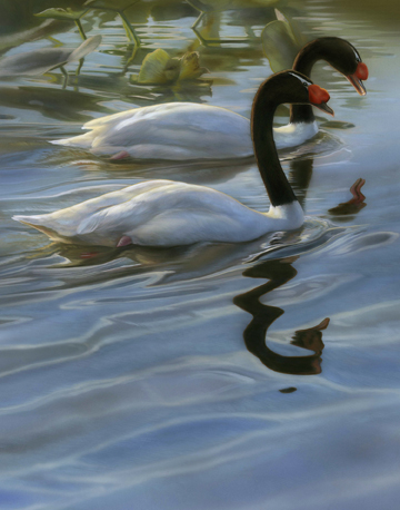 Rebecca Latham - Evening Formal - 11 x 14 - Opaque and Trans W Color72