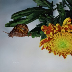 Lorena Kloosterboer -Autumn Sun II - 8 x 8 - Acrylic on Aluminum Panel72