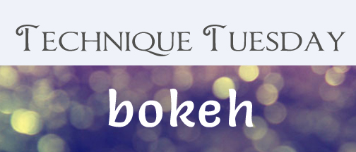 technique-tuesday-bokeh