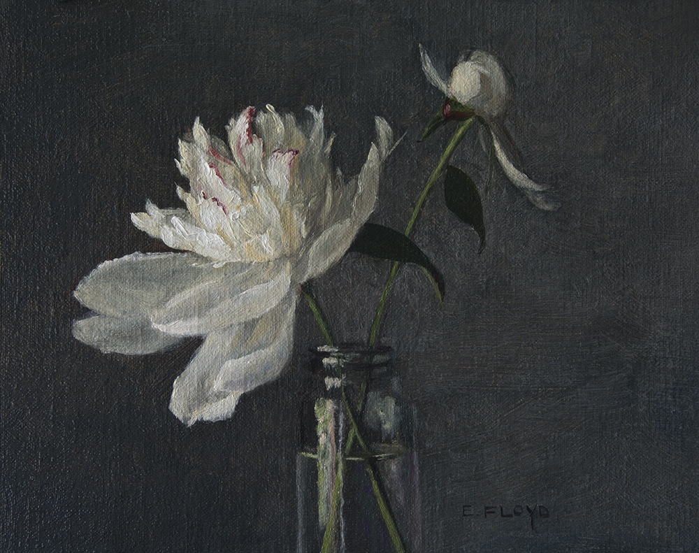 20170512-027 peony and bud 8x10