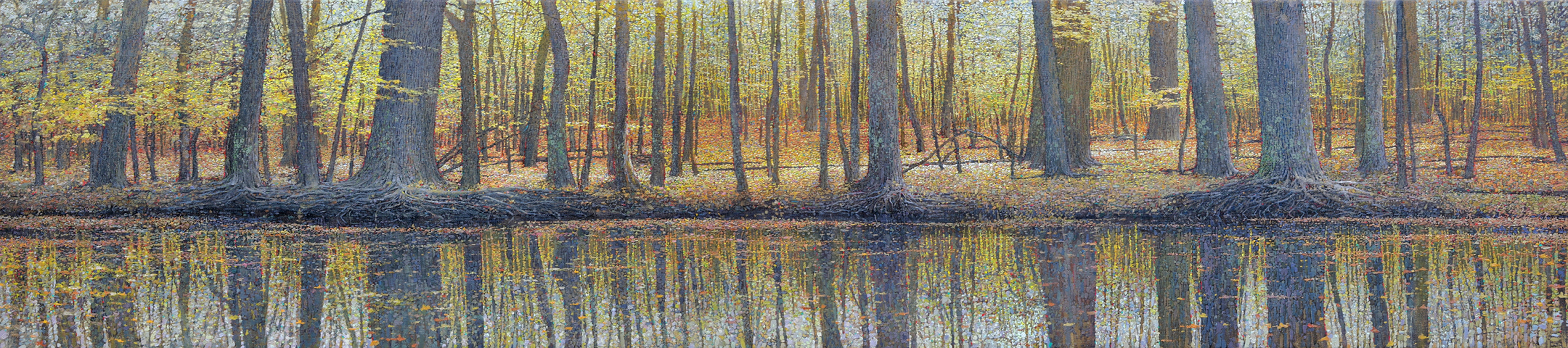 Gentiliana 16 x 72 LR