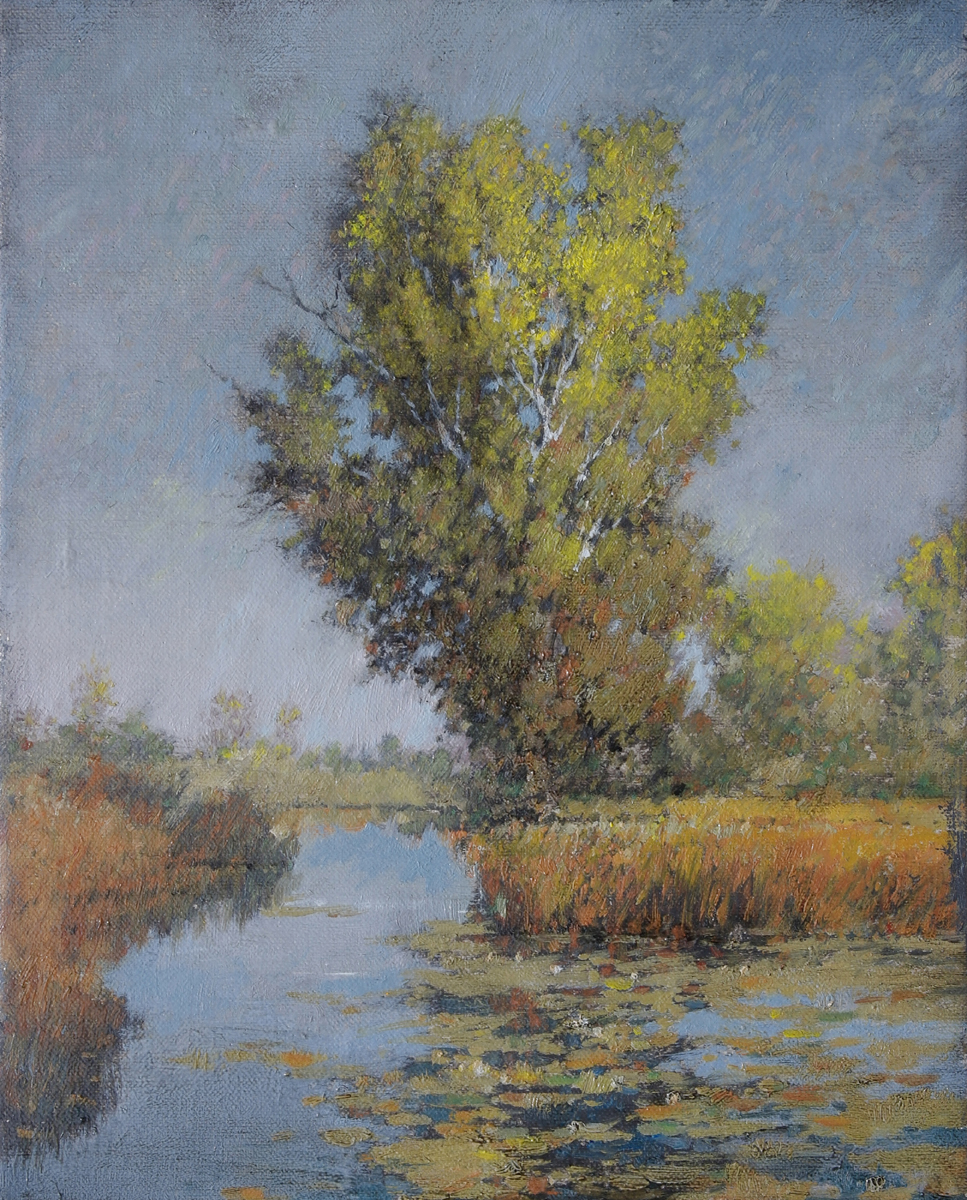 Skokie Botanical Gardens Lagoon 10x8